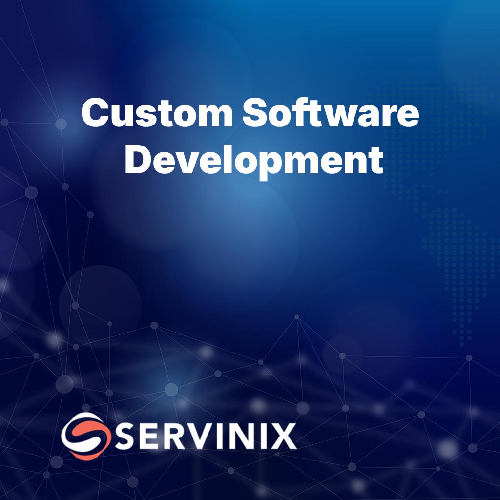 Custom Software Development - Starter Package